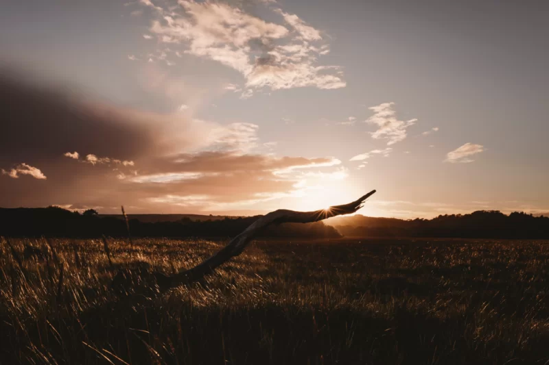the sun behind the dunes