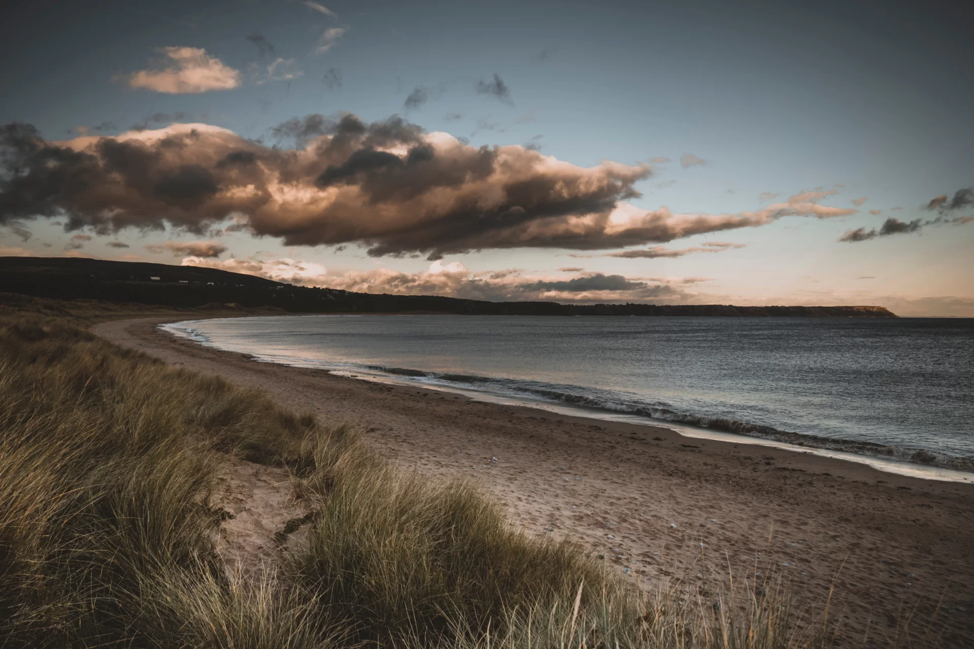 the beach and seashore