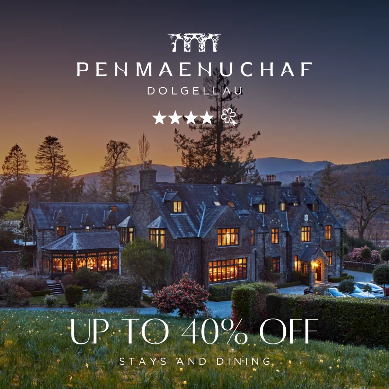 Seren Website Black Friday squares