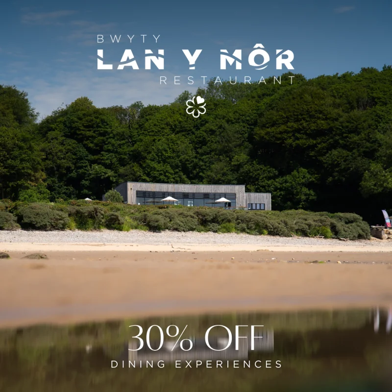 Seren Website Black Friday squares (1)